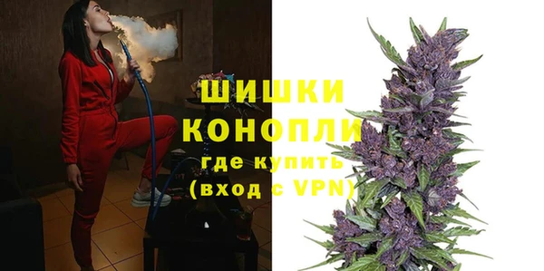 скорость Каменка