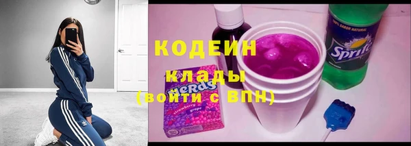 скорость Каменка