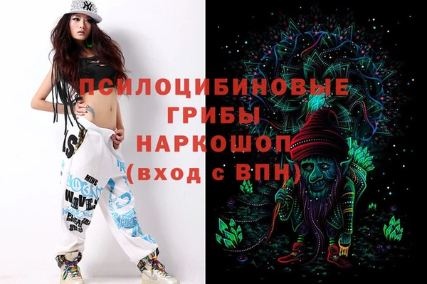 дмт Каменск-Шахтинский