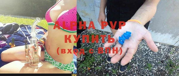 скорость Каменка