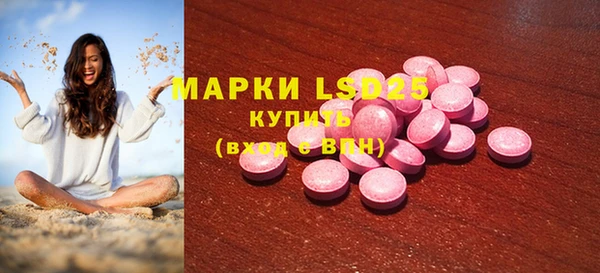 скорость Каменка