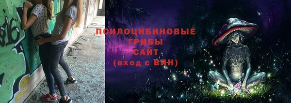 дмт Каменск-Шахтинский