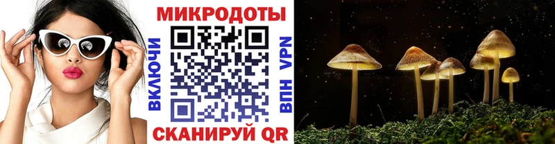 Купить закладки  Шахты  Галлюциногенные грибы Magic Shrooms 