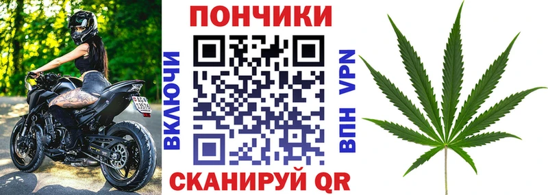 Купить закладки  Шахты  Шишки марихуана OG Kush 